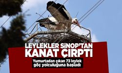 Leylekler Sinop’tan göç için kanat çırptı