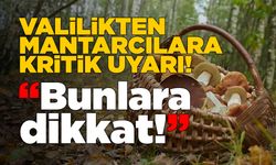 Sinop Valiliği mantar toplayanları uyardı!