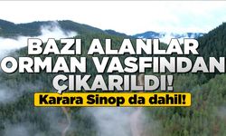 Sinop'ta bazı alanlar orman vasfından çıkarıldı