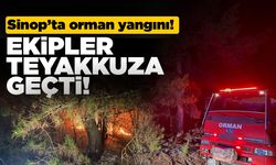 Sinop'ta ormanlık alanda yangın çıktı