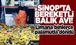 Sinoplu balıkçı limana bin 700 palamutla döndü