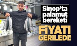 Sinop'ta palamut fiyatı düştü!