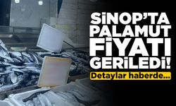 Sinop’ta vatandaş palamut fiyatından memnun!