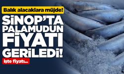 Sinop’ta palamudun fiyatı geriledi!