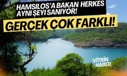 Bu Görüntü Norveç’ten Değil, Sinop’tan! Ama Bir Ayrıntı Var…