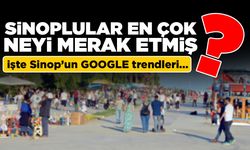Sinoplular internette en çok neyi merak etmiş?