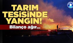 Tonlarca yem, binlerce balya saman yandı!