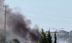 Sinop Ordu Mahallesi'nde otluk alanda yangın paniği