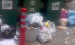 Sinop'ta çöp sorunu devam ediyor: Esnaf tepkili!