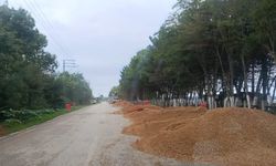 Akliman’da elektrik altyapı çalışması başlatıldı