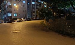 Sinop’ta virajlı yolda tehlike: Vatandaşlar dubalama istiyor