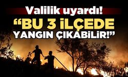 Sinop'un 3 ilçesine yangın riski uyarısı!