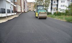 YOL VE KALDIRIM İŞLERİ YAPTIRILACAKTIR