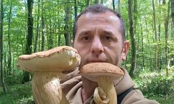 Sinop'ta dev mantar görenleri şaşırttı!