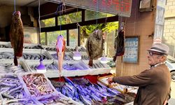 Sinop'ta balıkçı tezgahları kalkanla süslendi
