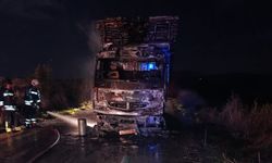 Yangın çıkan kamyon kullanılamaz hale geldi
