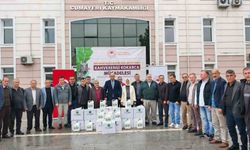 14 bin samuray arısı Düzce'de doğaya salındı