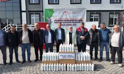 Kahverengi kokarcaya karşı seferberlik başlatıldı