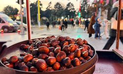 Sinop’tan Erzincan’a uzanan kestane lezzeti