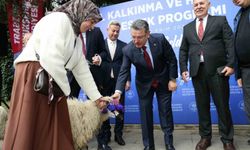 Trabzon'da hayvancılığa destek