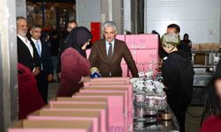 Vali Makas, il genelindeki fabrikaları inceledi