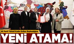 AK Parti Türkeli Kadın Kollarında görev değişimi