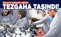 Sinop'ta balıkçılık eğitimi tezgâha taşındı
