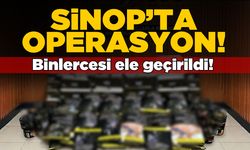Sinop’ta operasyon: Binlercesi ele geçirildi