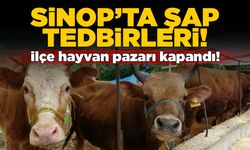 İlçedeki hayvan pazarında şap tedbiri