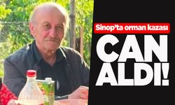 Sinop'ta orman kazası can aldı