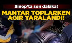 Mantar ararken düştü, ameliyata alındı