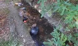 Tarım suyunun geçtiği kanal çöplerle doldu