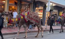 Sinop Gerze’de festival coşkusu başladı