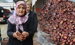 Erfelek kuzu kestanesi tezgaha indi