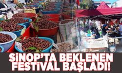 Sinop'ta Kestane Festivali başladı