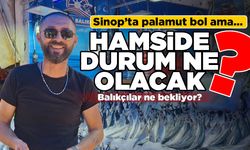 Sinop’ta palamut bol, peki hamsi?