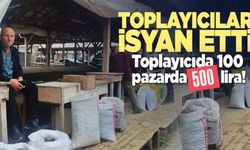 Erfelek’te kestane emeği ucuza gidiyor!