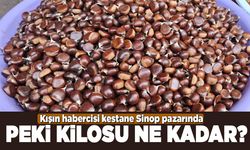 Sinop kestanesi pazar tezgahlarına indi