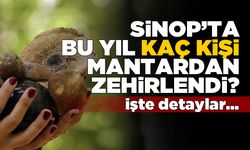 Sinop’ta mantar zehirlenmelerinde artış!