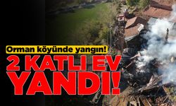 Orman köyünde çıkan yangında 2 katlı ev küle döndü