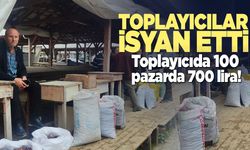 Erfelek’te kestane emeği ucuza gidiyor!
