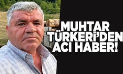 Sinop'ta acı haber! Köy muhtarı hayatını kaybetti