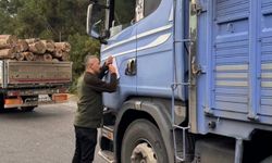 Sinop’ta orman kaçakçılığına karşı sıkı denetim