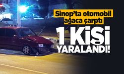Otomobil refüjdeki ağaca çarptı: 1 yaralı
