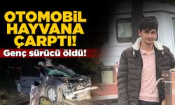 Otomobil büyükbaş hayvana çarptı, sürücü hayatını kaybetti