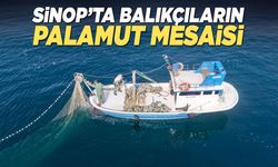 Sinop'ta balıkçıların palamut avı mesaisi