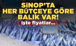 Sinop’ta her bütçeye göre balık var