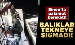 Palamutlar tekneye sığmadı, yardıma başka tekne geldi