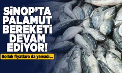 Palamut fiyatı gerilemeye devam ediyor
