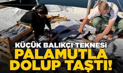 Küçük balıkçı teknesi palamutla dolup taştı
